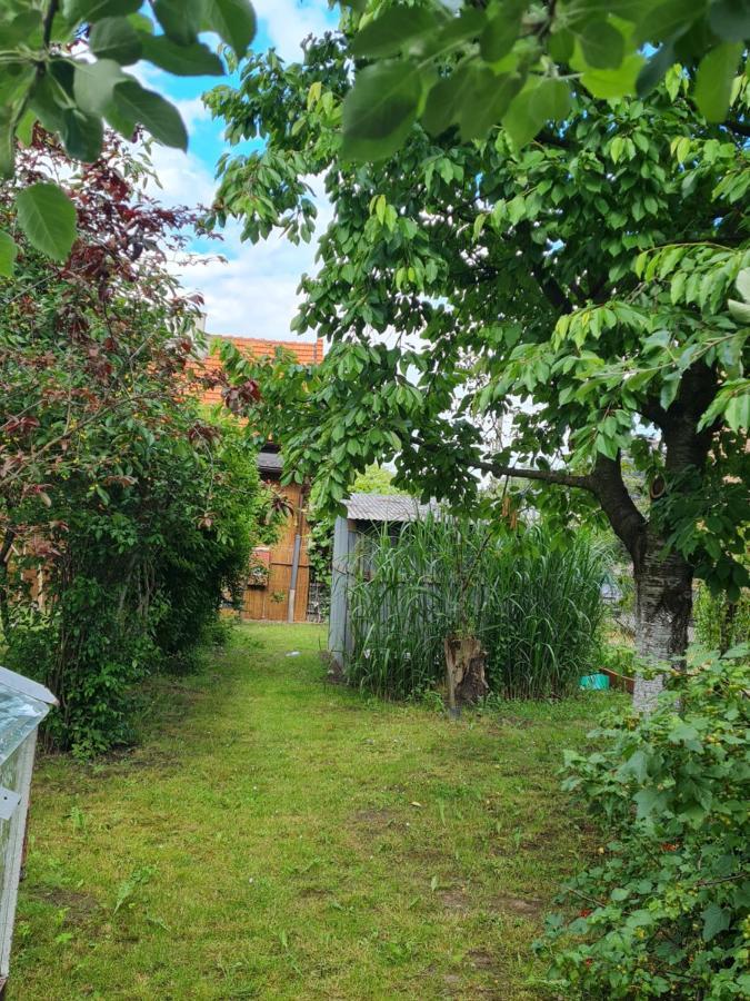 Apartament Wojska Polskiego 35 Villa Wadowice Ngoại thất bức ảnh